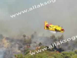 Φωτογραφία για Έξι πυροσβεστικά αεροπλάνα και 100 δασοπυροσβέστες ρίχνονται στην μάχη της φωτιάς στη Νότια Ρόδο