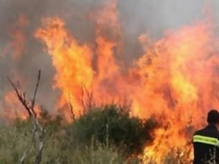 Φωτογραφία για Υπό μερικό έλεγχο η φωτιά στη Μεσαρά - Το φως της ημέρας αποκαλύπτει την καταστροφή