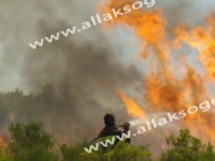 Φωτογραφία για Σεληνιακό Τοπίο η Νότια Ρόδος – Βιβλική καταστροφή από την φωτιά [Photos]