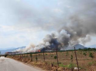 Φωτογραφία για Το εφιαλτικό 48ωρο στο Άργος και τα γύρω χωριά