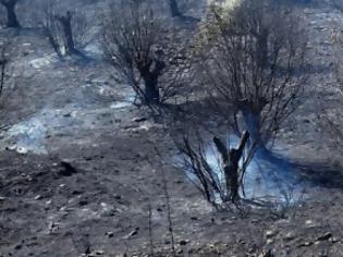 Φωτογραφία για Αγρίνιο: Κάηκαν 6 στρέμματα αγροτικής έκτασης