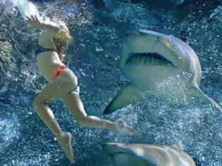 Φωτογραφία για ΣΟΚ: Την κατασπάραξε καρχαρίας λίγο πριν βγει από την θάλασσα