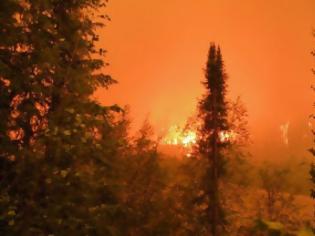 Φωτογραφία για Πολύ υψηλός ο κίνδυνος πυρκαγιάς σε Ηράκλειο και Λασίθι - Επί ποδός η Πυροσβεστική