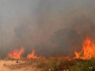 Φωτογραφία για Σε εξέλιξη η φωτιά στο Πεδίο Βολής - Σηκώθηκε και ελικόπτερο