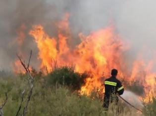 Φωτογραφία για Αχαΐα - τώρα: Πυρκαγιά σε καλαμιές στο Σταυροδρόμι Τριταίας
