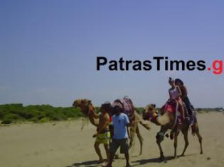 Φωτογραφία για Πάτρα: Για μπάνιο με καμήλες στην παραλία της Kαλογριάς [video]