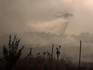 Φωτογραφία για Πυρκαγιά σε δασική έκταση στον Κάβο Ισθμίων στην Κόρινθο