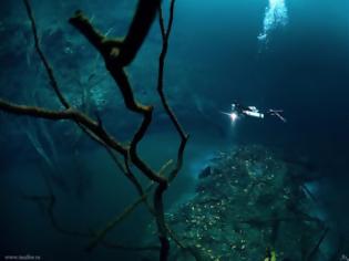 Φωτογραφία για Σπάνιο φαινόμενο: Ποτάμι και δέντρα... κάτω από τον ωκεανό [video]