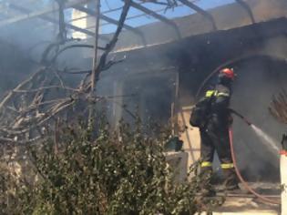 Φωτογραφία για Κάηκαν σπίτια στον Mαραθώνα - Η φωτιά ξέσπασε, όταν τζιπ του λιμενικού έπεσε σε κολώνα της ΔΕΗ - Σε ύφεση τώρα η πυρκαγιά