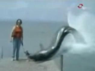 Φωτογραφία για Το βίντεο που σαρώνει στο διαδίκτυο.. 43.000.000 VIEWS !!