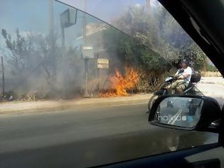 Φωτογραφία για Χαλκίδα: Ξέσπασε φωτιά σε οικόπεδο