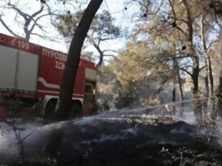 Φωτογραφία για Ποιος είναι ο εμπρηστής της Βαρυμπόμπης