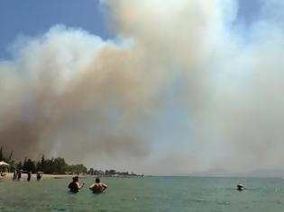 Φωτογραφία για H Έλλη Κοκκίνου «ανεβάζει» φωτογραφίες από τη φωτιά στην Πελοπόννησο