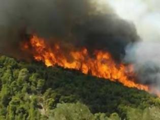 Φωτογραφία για Πάνω από 3.000 πυρκαγιές φέτος-115 συλλήψεις εμπρηστών