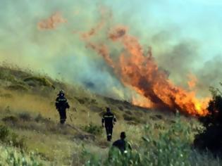 Φωτογραφία για ΣΥΜΒΑΙΝΕΙ ΤΩΡΑ-Φθιώτιδα: Συναγερμός στην Π.Υ. για πυρκαγιά στη Στύρφακα