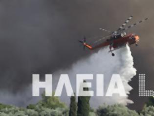 Φωτογραφία για Κράτος ανίκανων...καίει την Ηλεία - Mαίνεται η πυρκαγιά στο Γεράκι