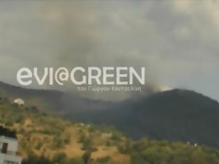 Φωτογραφία για Λέπουρα Ευβοίας: Μεγάλη φωτιά στην περιοχή! Πλησιάζει σε σπίτια....