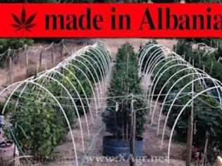 Φωτογραφία για 10.000.000.000 το χρόνο κονομάνε από την εμπορία χασίς οι Αλβανοί