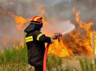 Φωτογραφία για ΤΩΡΑ: Φωτιά στον Πολυπόταμο Στύρων Ευβοίας