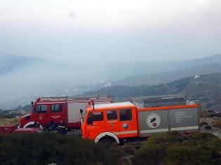 Φωτογραφία για Σε εξέλιξη πυρκαγιά στην Άνδρο