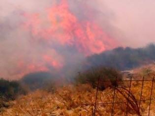 Φωτογραφία για Μέσα στον οικισμό του Άνω Πιτροφού η μεγάλη φωτιά της Άνδρου!