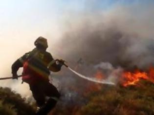 Φωτογραφία για Ηλεία: Aνεξέλεγκτη ακόμα η μεγάλη πυρκαγιά στο Κλεινδιά - Και αεροπλάνα στη μάχη με τις φλόγες