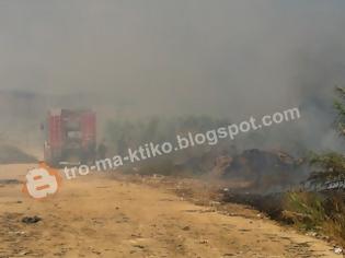 Φωτογραφία για Yπό έλεγχο η φωτιά στην Καβάλα