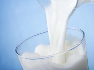 Φωτογραφία για Υγεία: Το κατσικίσιο γάλα συμβάλει στην θεραπεία του γαστρικού έλκους, της οστεοπόρωσης, της σιδηροπενίας, της αρτηριοσκλήρυνσης