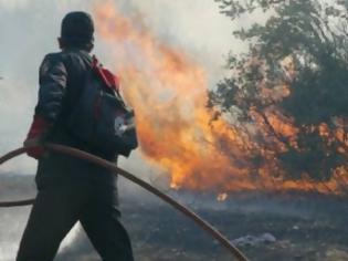 Φωτογραφία για Πυρκαγιά στην Αρκαδία