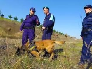 Φωτογραφία για Ποδαράτοι μας φυλάνε οι συνοριοφύλακες - Το 85% των περιπολικών είναι εκτός λειτουργίας