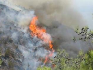 Φωτογραφία για 41χρονος Αφγανός ο εμπρηστής της Χίου – Συνελήφθη και θα οδηγηθεί στον ανακριτή