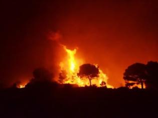 Φωτογραφία για Kόλαση φωτιάς τη νύχτα στην Άνδρο - Εκκενώθηκαν χωριά