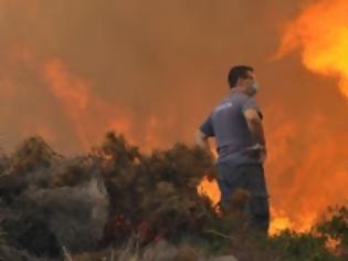 Φωτογραφία για Σε επιφυλακή η πυροσβεστική στη Θάσο - Tεράστια η καταστροφή από την πυρκαγιά