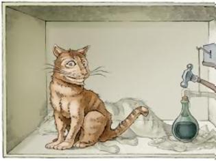 Φωτογραφία για Το παράδοξο της γάτας του Schrödinger (Ι)