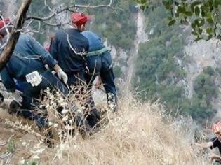 Φωτογραφία για Αχαΐα: Ανασύρθηκε 60χρονη που έπεσε σε χαράδρα στην περιοχή των Καλαβρύτων