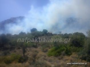 Φωτογραφία για Υπό έλεγχο η φωτιά στην Άνω Βασιλική [Video & Photos]