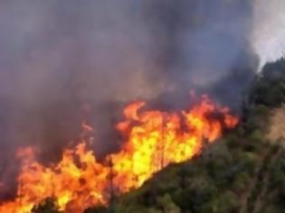 Φωτογραφία για Ανεξέλεγκτη παραμένει η πυρκαγιά στην Τραχυπέδουλα της Πάφου – Συνελήφθη 35χρονος – Μάχη με τις φλόγες δίνουν πτητικά μέσα και πυροσβεστικά οχήματα