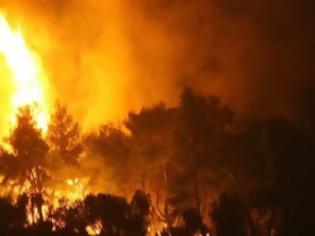 Φωτογραφία για Πάτρα: Mεγάλη φωτιά στον Αγιο Γεώργιο Ανω Καλλιθέας