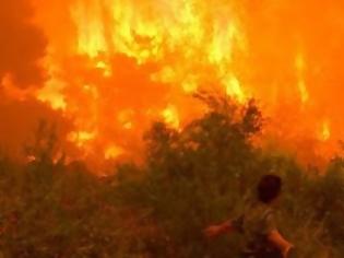 Φωτογραφία για Πάτρα: Μεγάλη φωτιά στην Άνω Καλλιθέα στην περιοχή Άγιος Γεώργιος - Eπιχειρούν και εναέρια μέσα
