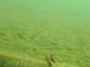 Φωτογραφία για Video και φώτο απο τον βυθό της λίμνης Γκιστόβα, Γράμμος Καστοριάς