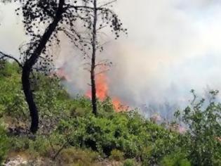 Φωτογραφία για Φωτιά στην Ασπροβάλτα σύμφωνα με αναγνώστη