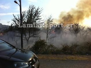 Φωτογραφία για Φθιώτιδα: Οι φλόγες έγλειψαν τις αυλές σπιτιών στο Καινούργιο [Photos]