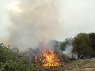 Φωτογραφία για Φωτιά κοντά στη Φοινικούντα Μεσσηνίας