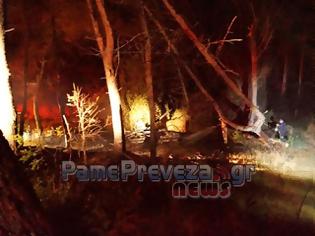 Φωτογραφία για Πρέβεζα: Φωτιά στο δάσος στο Μονολίθι [Video & Photo]
