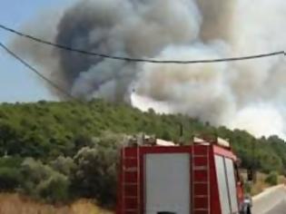 Φωτογραφία για Υπό έλεγχο η πυρκαγιά στη Βούλα