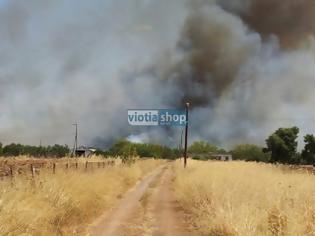 Φωτογραφία για Μεγάλη φωτιά στη Ριτσώνα καίγεται εργοστασιο Μεγάλη καταστροφή