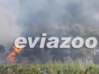 Φωτογραφία για Εύβοια: Κόλαση φωτιάς στην Ριτσώνα - Η πυρκαγιά πλησιάζει στην εθνική οδό