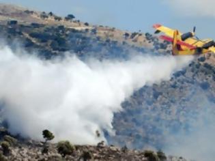 Φωτογραφία για Στη Ρόδο η καταστροφικότερη φωτιά του καλοκαιριού