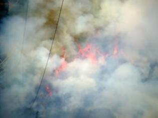 Φωτογραφία για Mόνο μία (ευτυχώς) φέτος φωτιά εισαγόμενη από την Αλβανία!
