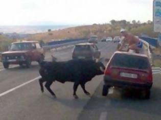 Φωτογραφία για Ο μαινόμενος ταύρος και η χαοτική σκηνή σε δρόμο της Ισπανίας